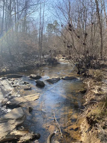 Best Hikes and Trails in Peter's Creek Heritage Preserve | AllTrails