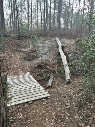 Best Easy Trails In Peachtree Rock Heritage Preserve Alltrails 5118