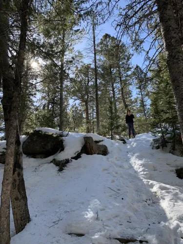 Best Hikes and Trails in Caribou Ranch Open Space | AllTrails