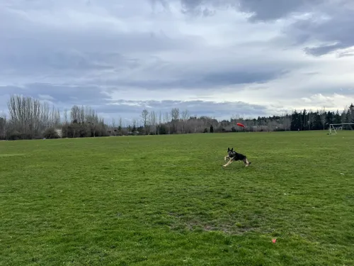 se permiten perros en el aeropuerto de seatac