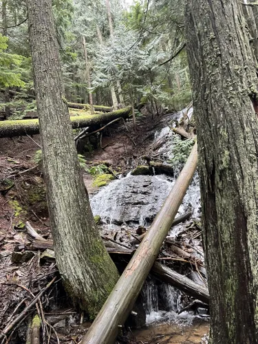 Bedste Vandreture Og Ruter I Liberty Lake Regional Park AllTrails