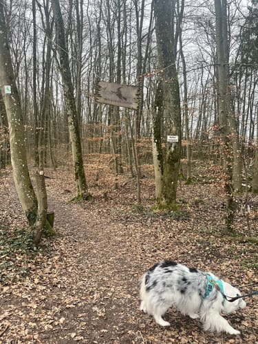 Hexenklamm (Premiumwanderweg)