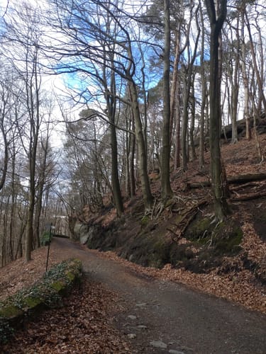 Kirkeler Tafeltour (Premiumwanderweg)