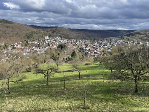 Lorsbach Schluchttour
