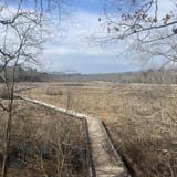 Point of Rocks Trail, Virginia - 442 Reviews, Map | AllTrails