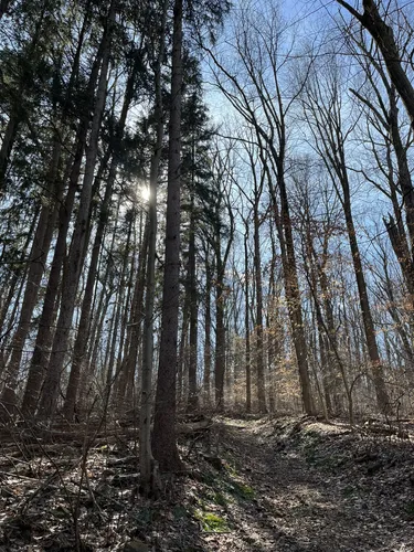 Best Moderate Trails in Nolde Forest - EyJidWNrZXQiOiJhc3NldHMuYWxsdHJhaWxzLmNvbSIsImtleSI6InVwbG9hZHMvcGhvdG8vaW1hZ2UvNzExMTMwMjcvNjFhMzVhNjJiMmUwM2FlZjQxYmMzMDAwYWI0ZmU4NjUuanBnIiwiZWRpdHMiOnsidG9Gb3JtYXQiOiJ3ZWJwIiwicmVzaXplIjp7IndpZHRoIjo1MDAsImhlaWdodCI6NTAwLCJmaXQiOiJpbnNpZGUifSwicm90YXRlIjpudWxsLCJqcGVnIjp7InRyZWxsaXNRdWFudGlzYXRpb24iOnRydWUsIm92ZXJzaG9vdERlcmluZ2luZyI6dHJ1ZSwib3B0aW1pc2VTY2FucyI6dHJ1ZSwicXVhbnRpc2F0aW9uVGFibGUiOjN9fX0=