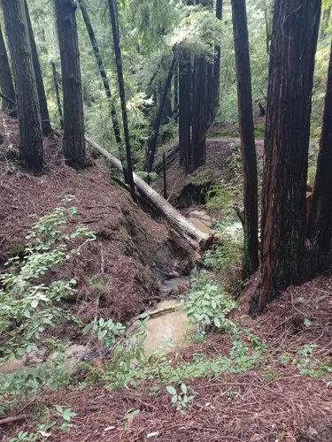 Best Wheelchair Friendly Trails - EyJidWNrZXQiOiJhc3NldHMuYWxsdHJhaWxzLmNvbSIsImtleSI6InVwbG9hZHMvcGhvdG8vaW1hZ2UvNzExMTY4OTgvYzZmNmViMzc2NDk1ZWVkNzRiNzhhNjM5MTljN2Y4NDguanBnIiwiZWRpdHMiOnsidG9Gb3JtYXQiOiJ3ZWJwIiwicmVzaXplIjp7IndpZHRoIjo1MDAsImhlaWdodCI6NTAwLCJmaXQiOiJpbnNpZGUifSwicm90YXRlIjpudWxsLCJqcGVnIjp7InRyZWxsaXNRdWFudGlzYXRpb24iOnRydWUsIm92ZXJzaG9vdERlcmluZ2luZyI6dHJ1ZSwib3B0aW1pc2VTY2FucyI6dHJ1ZSwicXVhbnRpc2F0aW9uVGFibGUiOjN9fX0=