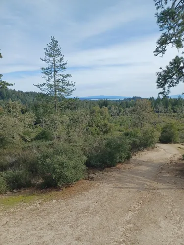 Best Wheelchair Friendly Trails - EyJidWNrZXQiOiJhc3NldHMuYWxsdHJhaWxzLmNvbSIsImtleSI6InVwbG9hZHMvcGhvdG8vaW1hZ2UvNzExMTY5MDAvMmZkMzY3ZGE3YzQ0MWFlMDViNmQ1MTBhZjlmMmYxYzAuanBnIiwiZWRpdHMiOnsidG9Gb3JtYXQiOiJ3ZWJwIiwicmVzaXplIjp7IndpZHRoIjo1MDAsImhlaWdodCI6NTAwLCJmaXQiOiJpbnNpZGUifSwicm90YXRlIjpudWxsLCJqcGVnIjp7InRyZWxsaXNRdWFudGlzYXRpb24iOnRydWUsIm92ZXJzaG9vdERlcmluZ2luZyI6dHJ1ZSwib3B0aW1pc2VTY2FucyI6dHJ1ZSwicXVhbnRpc2F0aW9uVGFibGUiOjN9fX0=