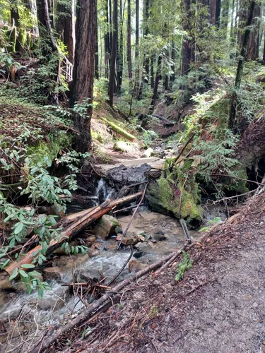 Best Wheelchair Friendly Trails - EyJidWNrZXQiOiJhc3NldHMuYWxsdHJhaWxzLmNvbSIsImtleSI6InVwbG9hZHMvcGhvdG8vaW1hZ2UvNzExMTY5MDIvNTc5MzZkYTM0MDBhNWUxN2Q5YWEyMjI2ZTU4YjUzOWQuanBnIiwiZWRpdHMiOnsidG9Gb3JtYXQiOiJ3ZWJwIiwicmVzaXplIjp7IndpZHRoIjo1MDAsImhlaWdodCI6NTAwLCJmaXQiOiJpbnNpZGUifSwicm90YXRlIjpudWxsLCJqcGVnIjp7InRyZWxsaXNRdWFudGlzYXRpb24iOnRydWUsIm92ZXJzaG9vdERlcmluZ2luZyI6dHJ1ZSwib3B0aW1pc2VTY2FucyI6dHJ1ZSwicXVhbnRpc2F0aW9uVGFibGUiOjN9fX0=