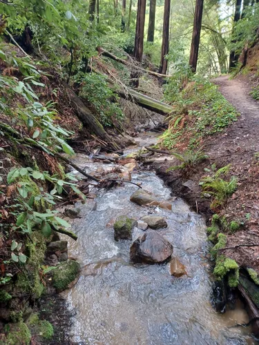 Best Wheelchair Friendly Trails - EyJidWNrZXQiOiJhc3NldHMuYWxsdHJhaWxzLmNvbSIsImtleSI6InVwbG9hZHMvcGhvdG8vaW1hZ2UvNzExMTY5MDYvODBiZTQyZTI5Yjg2NjBlNWUwOGY1ZWRiNGExZjU1ODQuanBnIiwiZWRpdHMiOnsidG9Gb3JtYXQiOiJ3ZWJwIiwicmVzaXplIjp7IndpZHRoIjo1MDAsImhlaWdodCI6NTAwLCJmaXQiOiJpbnNpZGUifSwicm90YXRlIjpudWxsLCJqcGVnIjp7InRyZWxsaXNRdWFudGlzYXRpb24iOnRydWUsIm92ZXJzaG9vdERlcmluZ2luZyI6dHJ1ZSwib3B0aW1pc2VTY2FucyI6dHJ1ZSwicXVhbnRpc2F0aW9uVGFibGUiOjN9fX0=