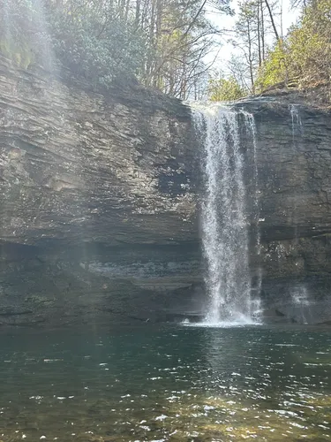 Best Camping Trails in Cloudland - EyJidWNrZXQiOiJhc3NldHMuYWxsdHJhaWxzLmNvbSIsImtleSI6InVwbG9hZHMvcGhvdG8vaW1hZ2UvNzExMjU3MjYvODVmMmVkN2MzMGMzNWQ2MzM4NDg1YTk5Nzk3N2Q1YTAuanBnIiwiZWRpdHMiOnsidG9Gb3JtYXQiOiJ3ZWJwIiwicmVzaXplIjp7IndpZHRoIjo1MDAsImhlaWdodCI6NTAwLCJmaXQiOiJpbnNpZGUifSwicm90YXRlIjpudWxsLCJqcGVnIjp7InRyZWxsaXNRdWFudGlzYXRpb24iOnRydWUsIm92ZXJzaG9vdERlcmluZ2luZyI6dHJ1ZSwib3B0aW1pc2VTY2FucyI6dHJ1ZSwicXVhbnRpc2F0aW9uVGFibGUiOjN9fX0=