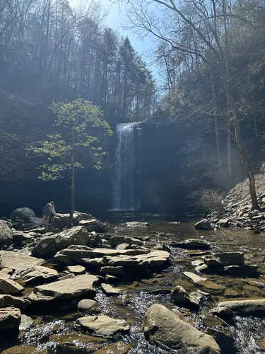 Best Camping Trails in Cloudland - EyJidWNrZXQiOiJhc3NldHMuYWxsdHJhaWxzLmNvbSIsImtleSI6InVwbG9hZHMvcGhvdG8vaW1hZ2UvNzExMjU3MjcvMmJlZjIzMTMzNTRlMDZhYmZhMjkxYzhlZjU2YzRhZGYuanBnIiwiZWRpdHMiOnsidG9Gb3JtYXQiOiJ3ZWJwIiwicmVzaXplIjp7IndpZHRoIjo1MDAsImhlaWdodCI6NTAwLCJmaXQiOiJpbnNpZGUifSwicm90YXRlIjpudWxsLCJqcGVnIjp7InRyZWxsaXNRdWFudGlzYXRpb24iOnRydWUsIm92ZXJzaG9vdERlcmluZ2luZyI6dHJ1ZSwib3B0aW1pc2VTY2FucyI6dHJ1ZSwicXVhbnRpc2F0aW9uVGFibGUiOjN9fX0=