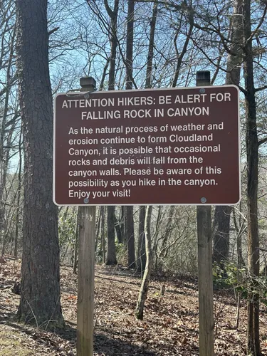 Best Camping Trails in Cloudland - EyJidWNrZXQiOiJhc3NldHMuYWxsdHJhaWxzLmNvbSIsImtleSI6InVwbG9hZHMvcGhvdG8vaW1hZ2UvNzExMjU3MzAvZDM1MTAzNDRjMjUyNTU0OWQ1MzhkMjZjZGIwMmE3ZTQuanBnIiwiZWRpdHMiOnsidG9Gb3JtYXQiOiJ3ZWJwIiwicmVzaXplIjp7IndpZHRoIjo1MDAsImhlaWdodCI6NTAwLCJmaXQiOiJpbnNpZGUifSwicm90YXRlIjpudWxsLCJqcGVnIjp7InRyZWxsaXNRdWFudGlzYXRpb24iOnRydWUsIm92ZXJzaG9vdERlcmluZ2luZyI6dHJ1ZSwib3B0aW1pc2VTY2FucyI6dHJ1ZSwicXVhbnRpc2F0aW9uVGFibGUiOjN9fX0=