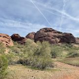 Double Butte Loop Trail, Arizona - 3,315 Reviews, Map | AllTrails