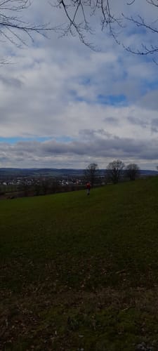 Von Blomberg rund um den Eichenberg und den Brunerberg