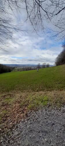Von Blomberg rund um den Eichenberg und den Brunerberg