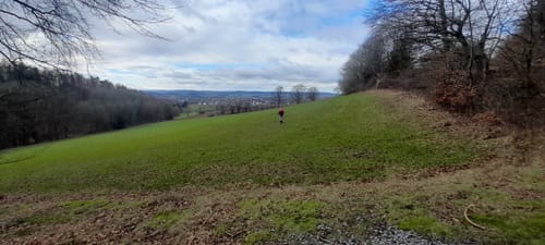Von Blomberg rund um den Eichenberg und den Brunerberg
