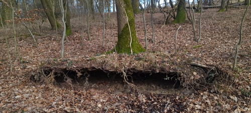 Von Blomberg rund um den Eichenberg und den Brunerberg