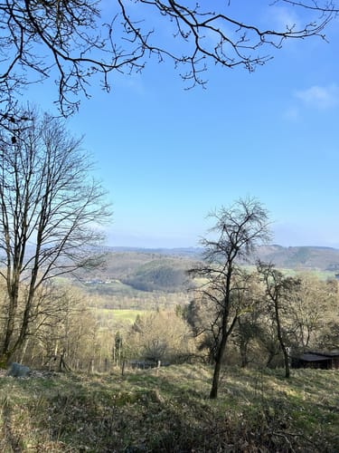 Battenberger Burgenweg (Premiumspazierwanderweg)