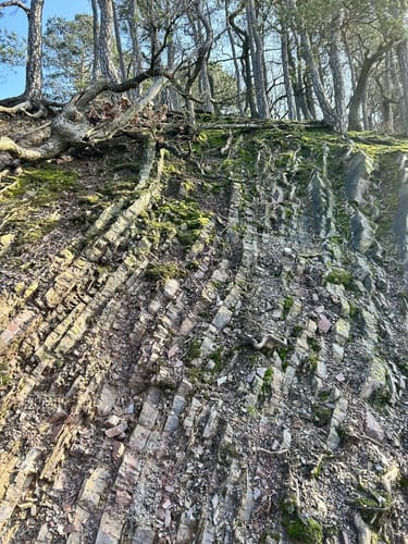 Battenberger Burgenweg (Premiumspazierwanderweg)