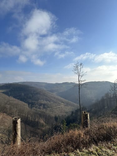Müllheim - Eichwald - Vögisheim
