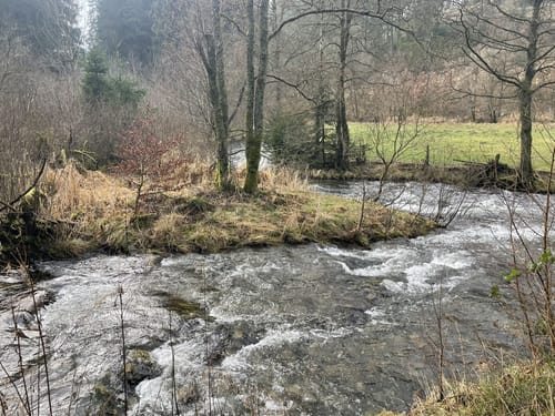 Perlenbachtal ab Höfener Mühle