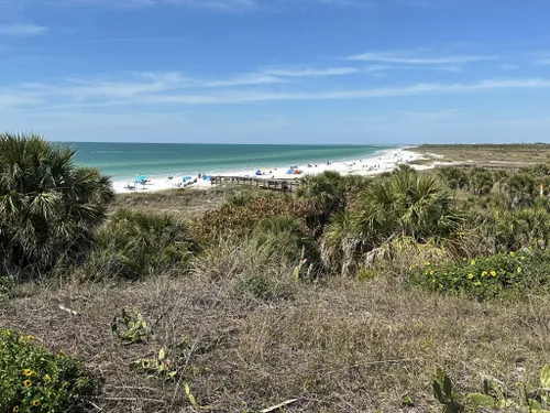 se permiten perros en el parque fort desoto