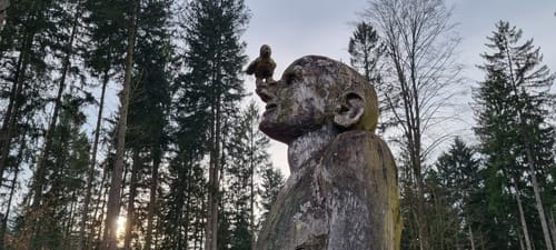 Weltwald Freising