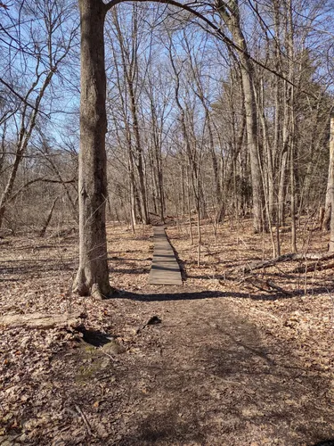 Best Hikes And Trails In Willards Woods Alltrails