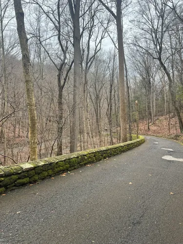 Best Moderate Trails in Nolde Forest - EyJidWNrZXQiOiJhc3NldHMuYWxsdHJhaWxzLmNvbSIsImtleSI6InVwbG9hZHMvcGhvdG8vaW1hZ2UvNzExNjI3MjEvMjVmYzJiMzdlMGJkMDk3YmNjZTg5ZThlOTM5NTMzYzAuanBnIiwiZWRpdHMiOnsidG9Gb3JtYXQiOiJ3ZWJwIiwicmVzaXplIjp7IndpZHRoIjo1MDAsImhlaWdodCI6NTAwLCJmaXQiOiJpbnNpZGUifSwicm90YXRlIjpudWxsLCJqcGVnIjp7InRyZWxsaXNRdWFudGlzYXRpb24iOnRydWUsIm92ZXJzaG9vdERlcmluZ2luZyI6dHJ1ZSwib3B0aW1pc2VTY2FucyI6dHJ1ZSwicXVhbnRpc2F0aW9uVGFibGUiOjN9fX0=