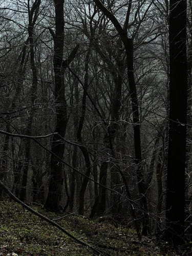 Rund um den Odenberg
