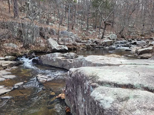 Hawn state park hiking trails sales