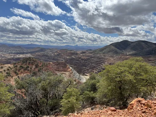 Arizona hill's Second Life Marketplace - Arizona Hills Privacy Screen Alpha