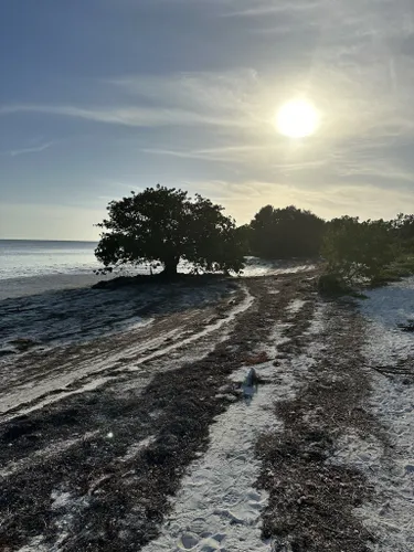 Best Hikes and Trails in Long Key State Park