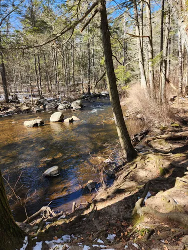 Best Short Trails in Devil's Hopyard State Park | AllTrails