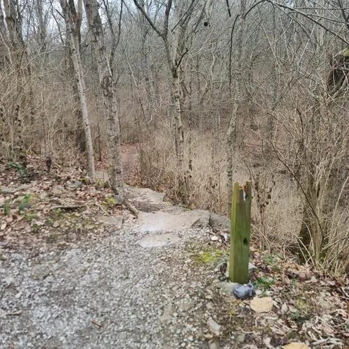 Best Cave Trails in Wilmore AllTrails