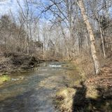 Fallsville Wildlife Area Trail to Upper Waterfalls, Ohio - 156 Reviews ...