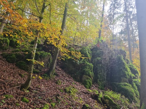 Rundwanderweg Kipfenberg 9: Bierweg