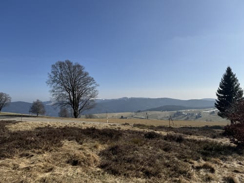 Schauinsland Rundweg