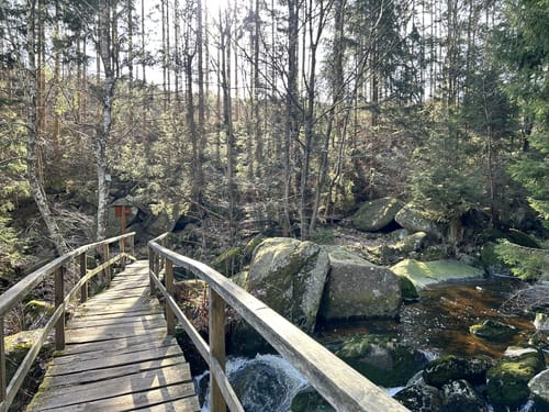 Steinerne Renne - Brocken