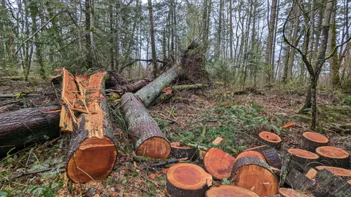 Best Hikes and Trails in Kaiser Ridge Park | AllTrails