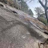 Butter Gap to Cat Gap Trail, North Carolina - 508 Reviews, Map | AllTrails