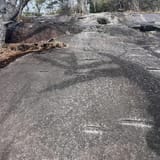 Butter Gap to Cat Gap Trail, North Carolina - 508 Reviews, Map | AllTrails