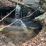 Butter Gap to Cat Gap Trail, North Carolina - 508 Reviews, Map | AllTrails