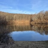 Iron Mine Pond Loop, New York - 252 Reviews, Map | AllTrails