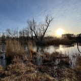 Iron Mine Pond Loop, New York - 252 Reviews, Map | AllTrails