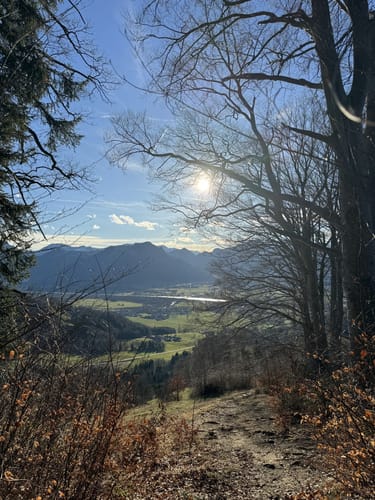 Dandlbergalm Rundweg