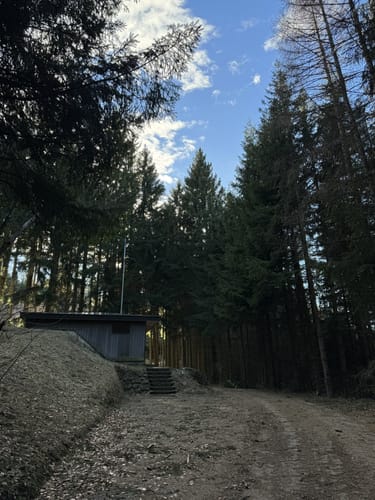 Dandlbergalm Rundweg