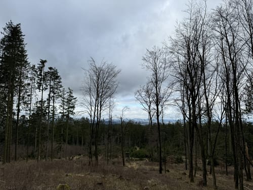 Kaltenbronn: Hohe Acht Runde