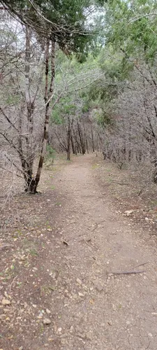 Best Hikes and Trails in Sunset Valley Nature Area AllTrails